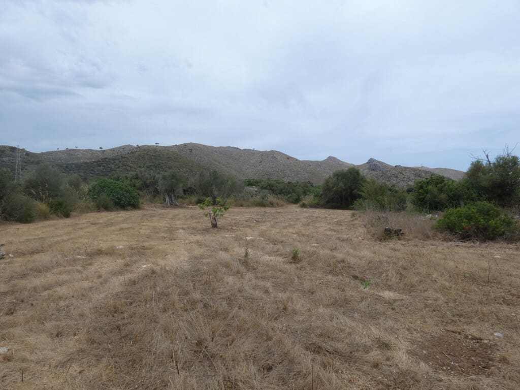 Terreno Non Edificato in vendita in Capdepera - 399.000 € (Rif: 10182635)