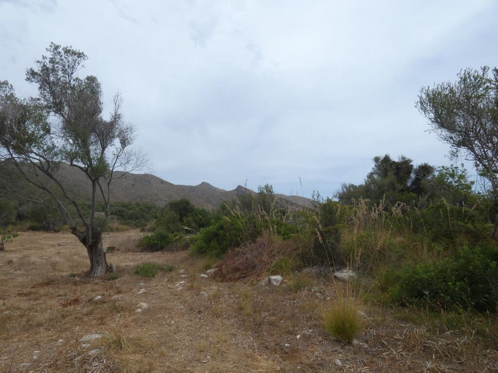 Terreno Non Edificato in vendita in Capdepera - 399.000 € (Rif: 10182635)