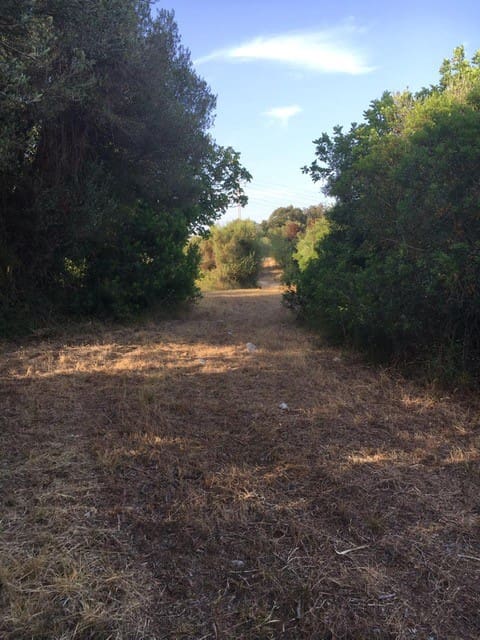 Terreno Non Edificato in vendita in Capdepera - 399.000 € (Rif: 10182635)