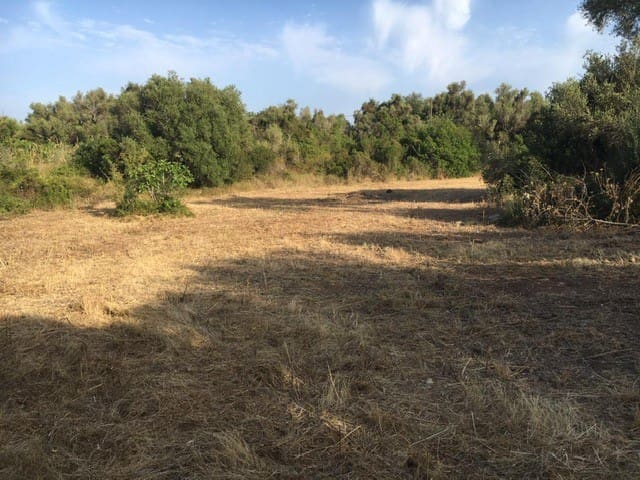 Terreno Non Edificato in vendita in Capdepera - 399.000 € (Rif: 10182635)