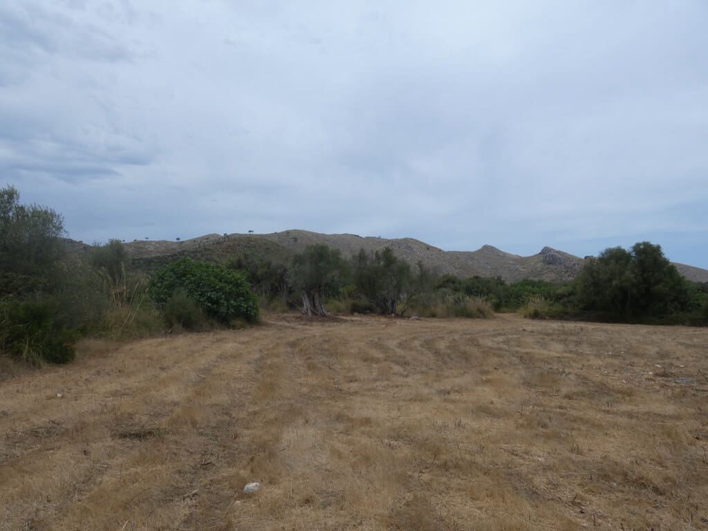 Terreno Non Edificato in vendita in Capdepera - 399.000 € (Rif: 10182635)