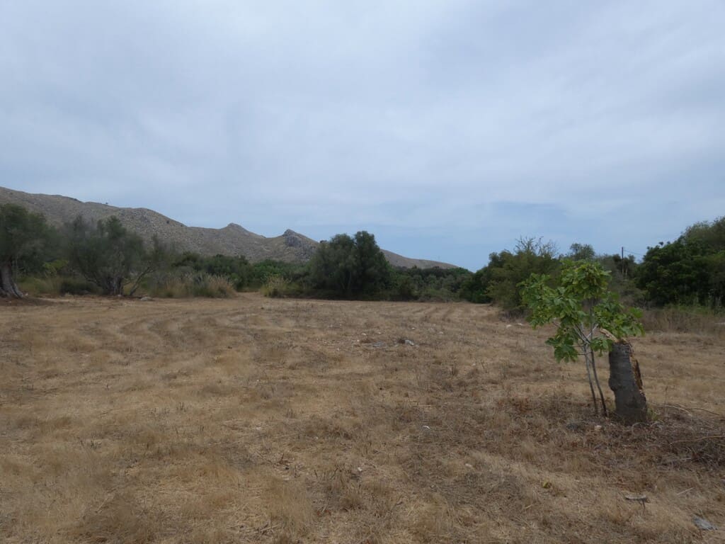 Terreno Non Edificato in vendita in Capdepera - 399.000 € (Rif: 10182635)