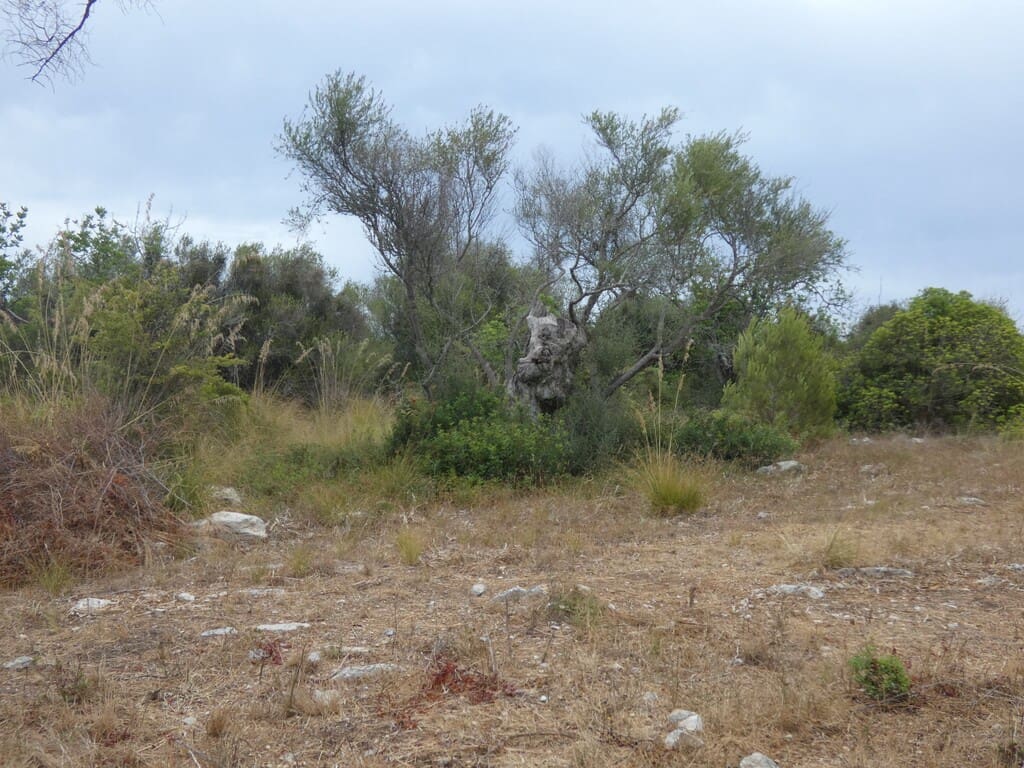 Terreno Non Edificato in vendita in Capdepera - 399.000 € (Rif: 10182635)