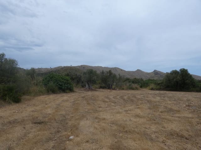 Terreno Non Edificato in vendita in Capdepera - 399.000 € (Rif: 10182635)