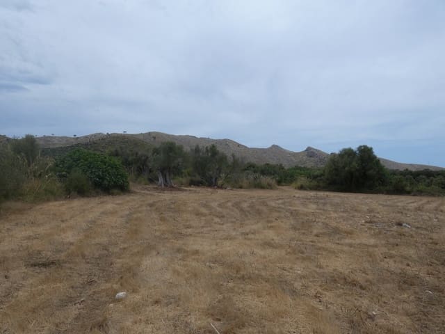 Terreno Non Edificato in vendita in Capdepera - 399.000 € (Rif: 10182635)