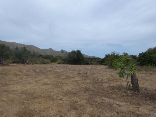 Terreno Non Edificato in vendita in Capdepera - 399.000 € (Rif: 10182635)