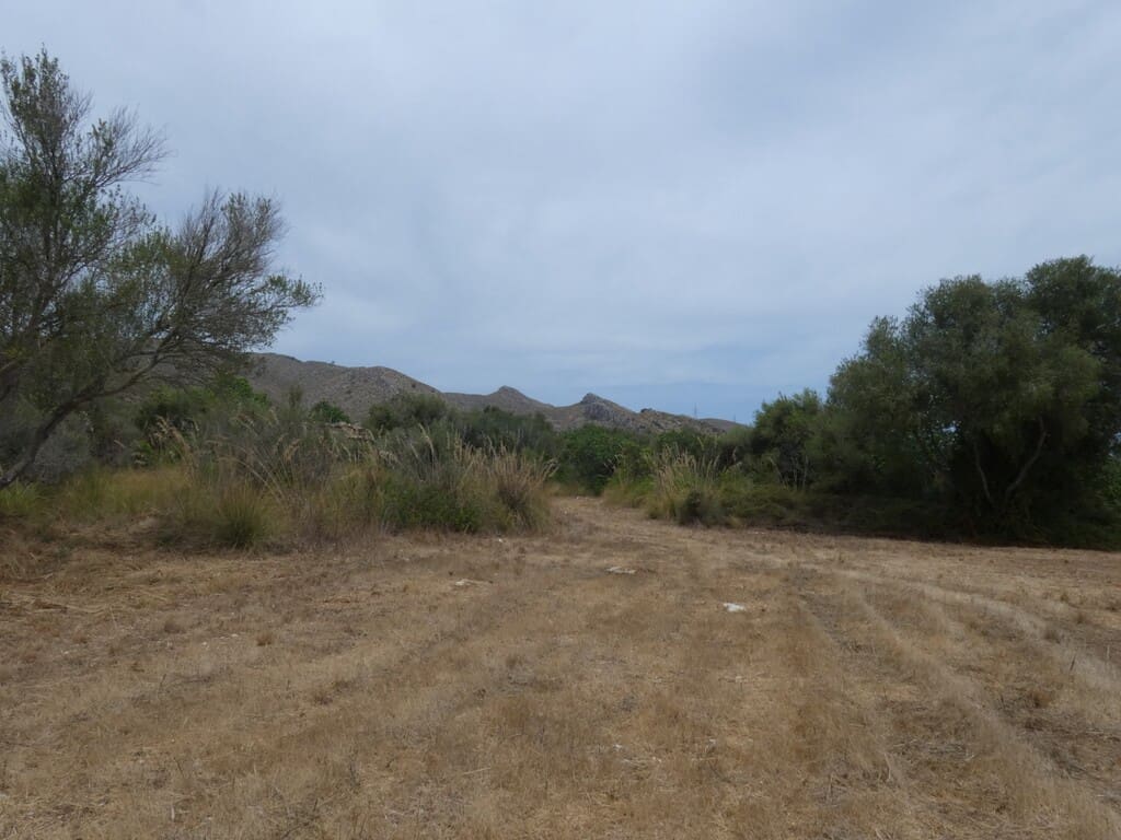 Terreno Non Edificato in vendita in Capdepera - 399.000 € (Rif: 10182635)