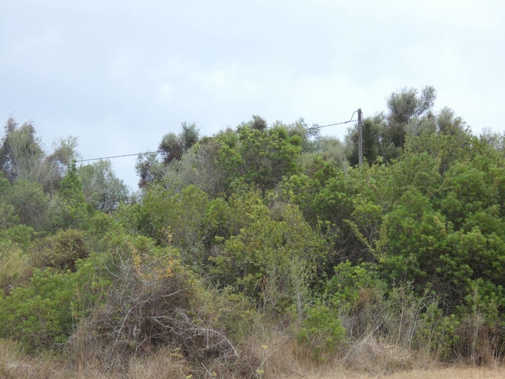 Terreno Non Edificato in vendita in Capdepera - 399.000 € (Rif: 10182635)