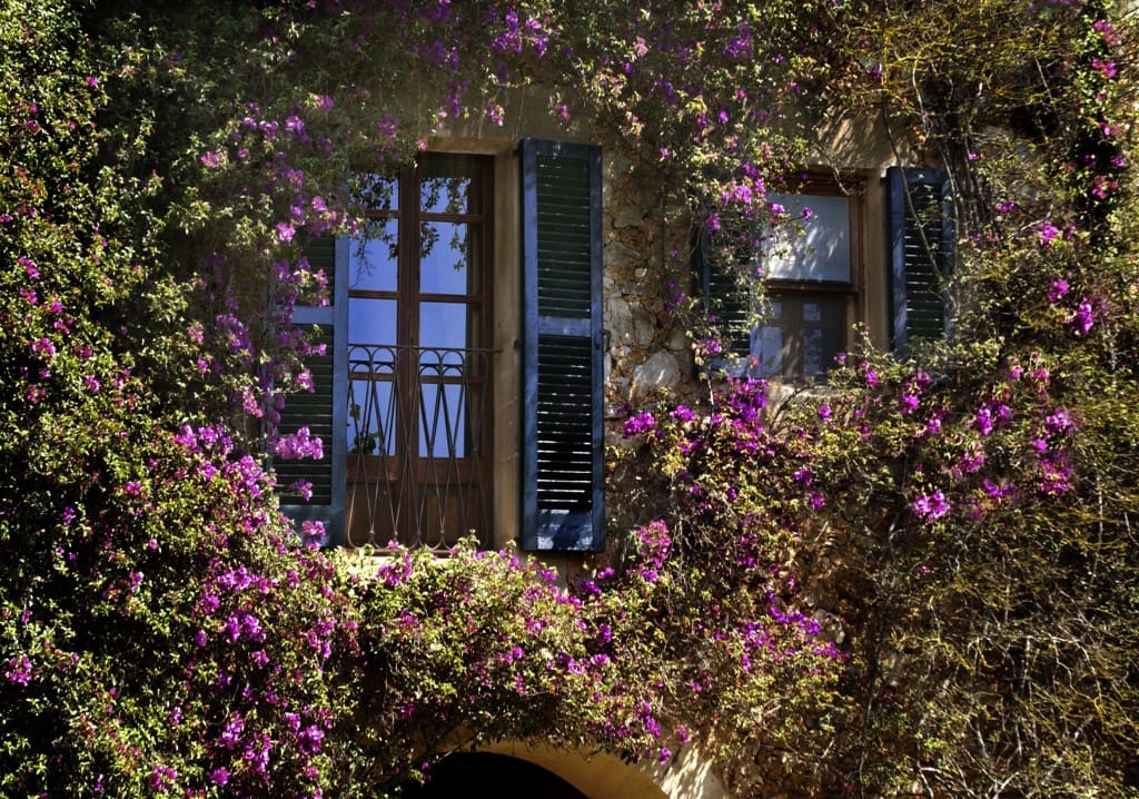 4 slaapkamer Finca/Landhuis te koop in Arta met zwembad - € 4.600.000 (Ref: 3159950)