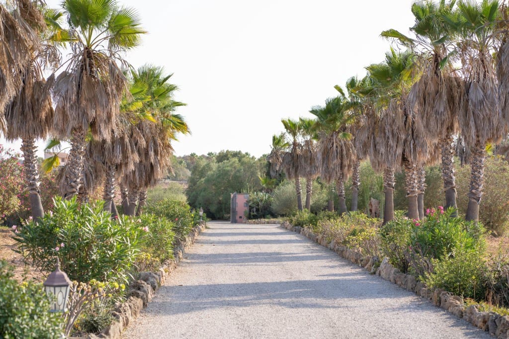 6 chambre Finca/Maison de Campagne à vendre à Santa Margalida avec piscine garage - 4 600 000 € (Ref: 3160015)