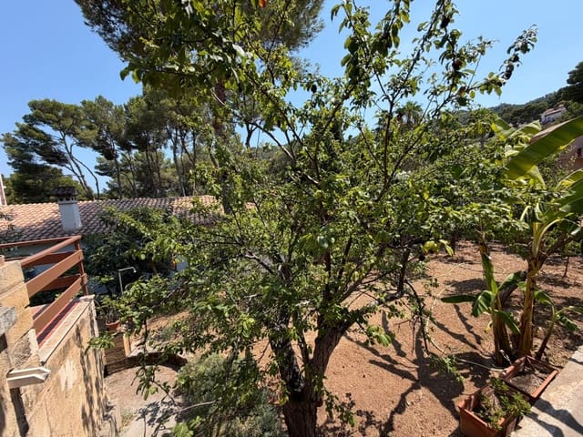 3 bedroom Townhouse for rent in Canyamel, Capdepera - € 1,600 (Ref: 3343325)