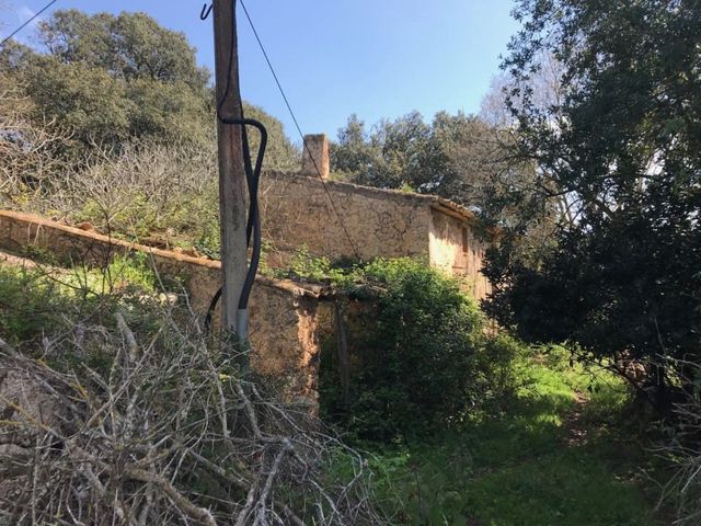 Tomt till salu i Artà - 633 000 € (Ref: 4288326)