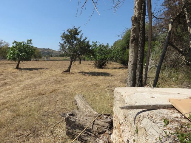 Tomt till salu i Artà - 633 000 € (Ref: 4288326)