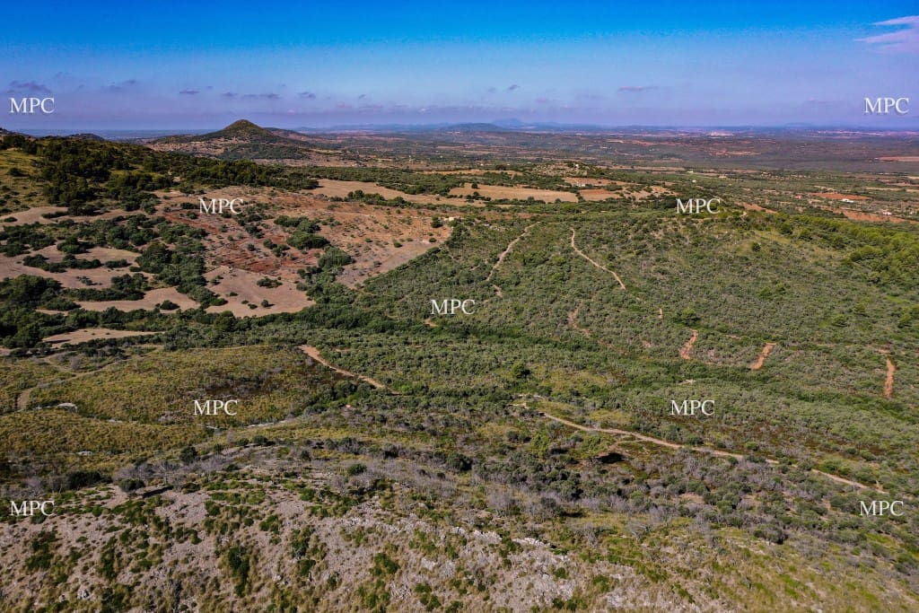 7 camera da letto Finca/Casa di Campagna in vendita in Arta - 7.800.000 € (Rif: 5175296)