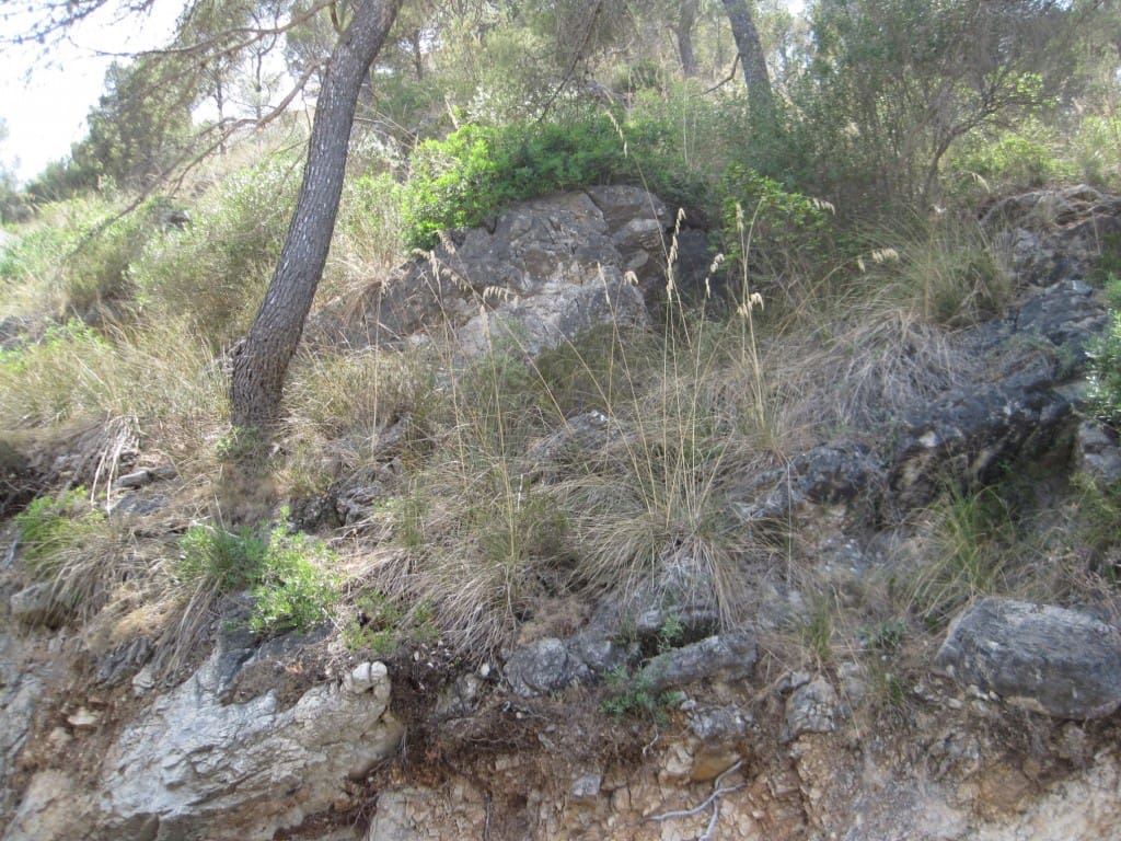 Byggetomt til salgs i Canyamel - € 170 000 (Ref: 5216661)