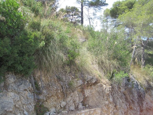 Tomt till salu i Canyamel, Capdepera - 170 000 € (Ref: 5216661)