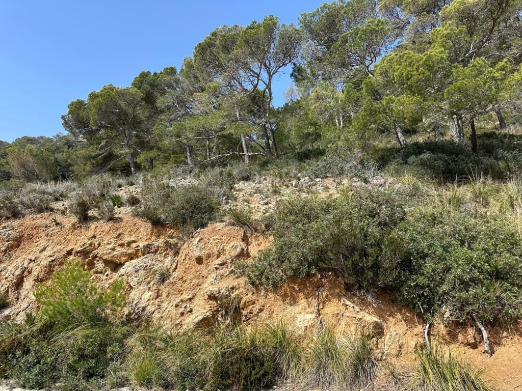 Byggetomt til salgs i Canyamel - € 170 000 (Ref: 5216661)