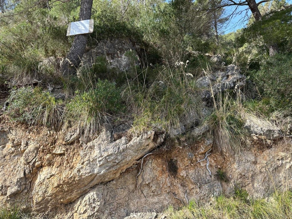 Byggetomt til salgs i Canyamel - € 170 000 (Ref: 5216661)