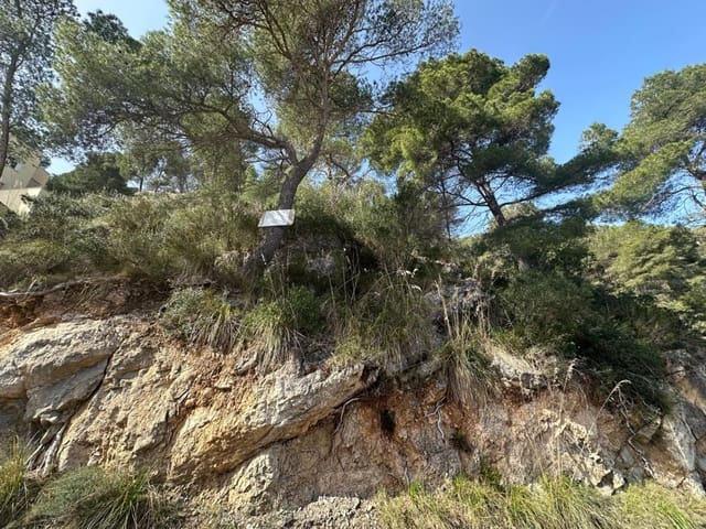 Tomt till salu i Canyamel, Capdepera - 170 000 € (Ref: 5216661)