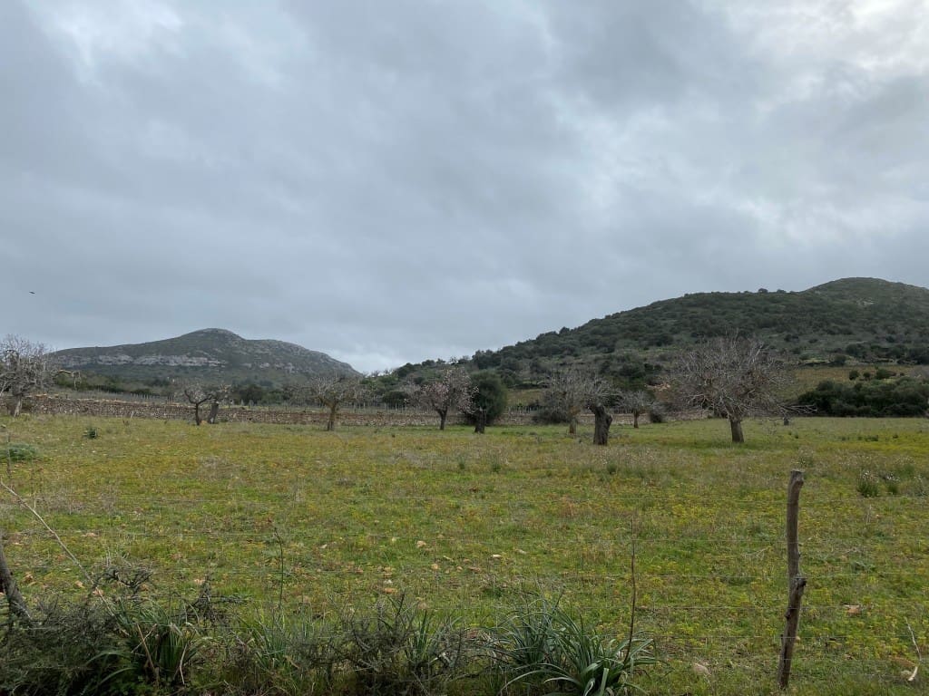 Rakentamaton maa myytävänä paikassa Manacor - 880 000 € (Ref: 5946061)