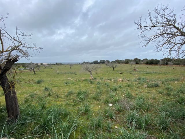 Grond te koop in Manacor - € 880.000 (Ref: 5946061)