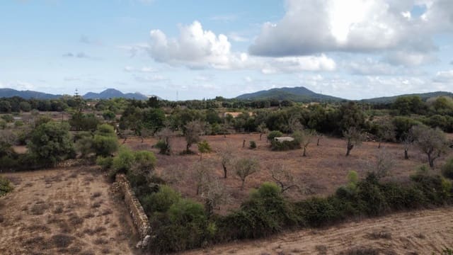 Undeveloped Land for sale in Artà - € 380,000 (Ref: 6404293)