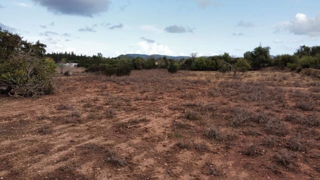 Undeveloped Land for sale in Artà - € 380,000 (Ref: 6404293)