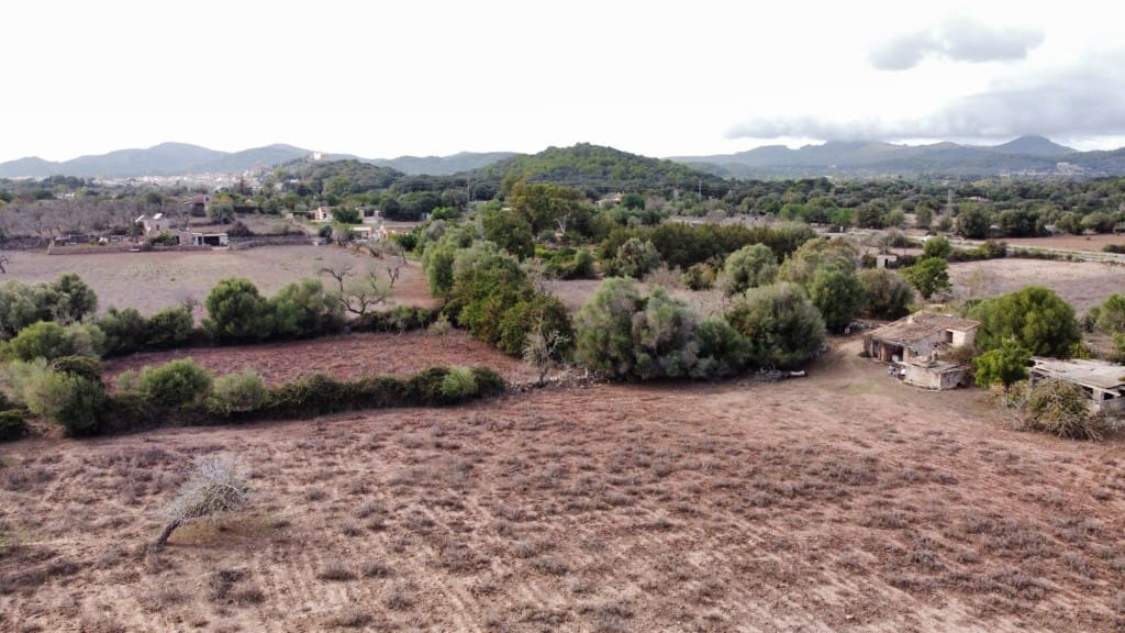 Grunde uden byggetilladelser til salg i Arta - € 380.000 (Ref: 6404293)