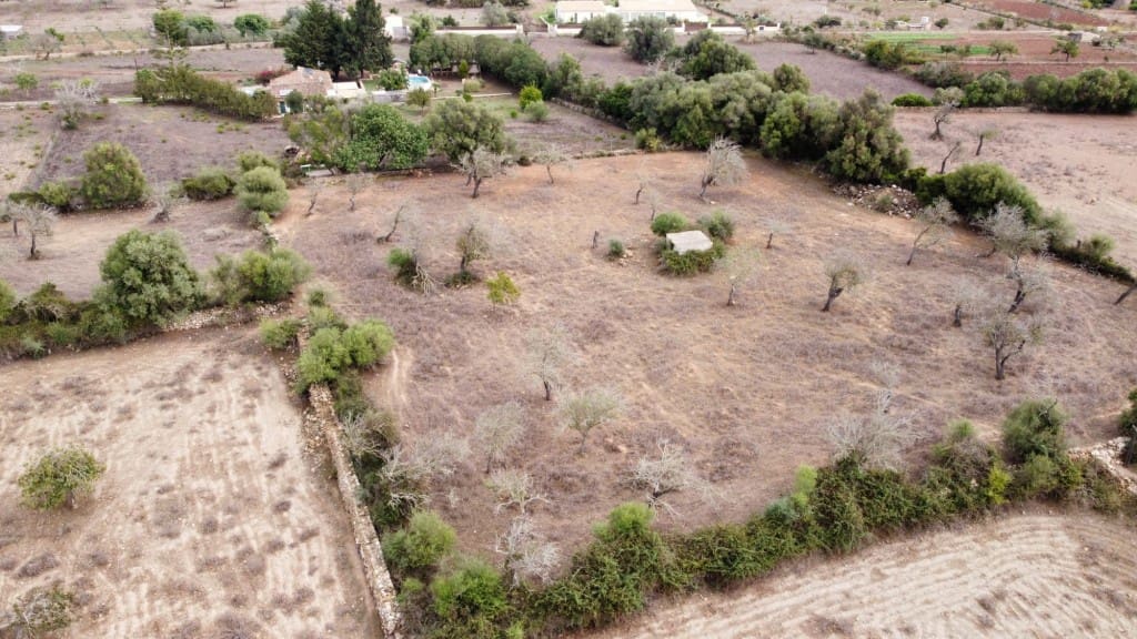 Grunde uden byggetilladelser til salg i Arta - € 380.000 (Ref: 6404293)