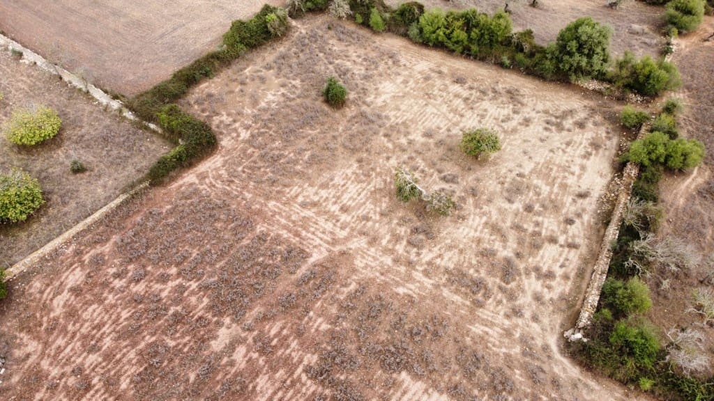 Grunde uden byggetilladelser til salg i Arta - € 380.000 (Ref: 6404293)