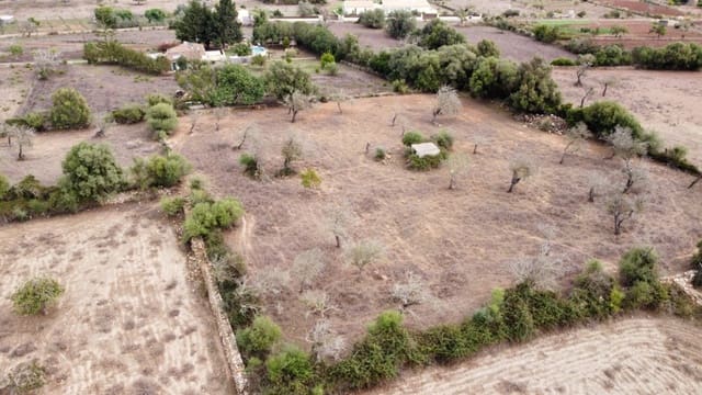 Undeveloped Land for sale in Artà - € 380,000 (Ref: 6404293)