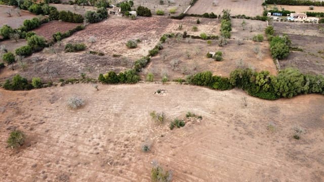 Undeveloped Land for sale in Artà - € 380,000 (Ref: 6404293)