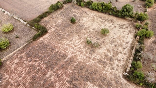 Undeveloped Land for sale in Artà - € 380,000 (Ref: 6404293)