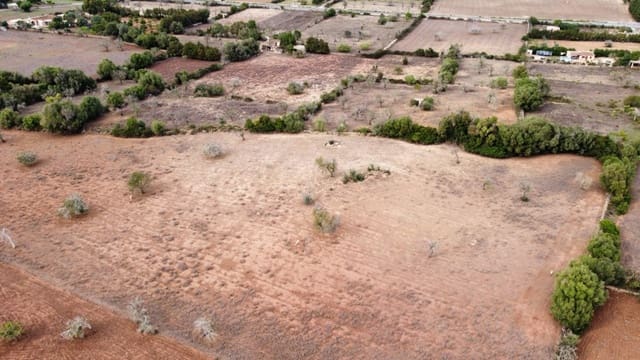 Undeveloped Land for sale in Artà - € 380,000 (Ref: 6404293)