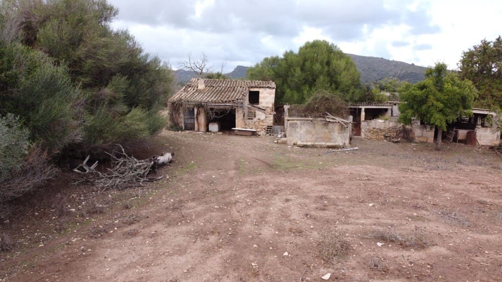 Grunde uden byggetilladelser til salg i Arta - € 380.000 (Ref: 6404293)