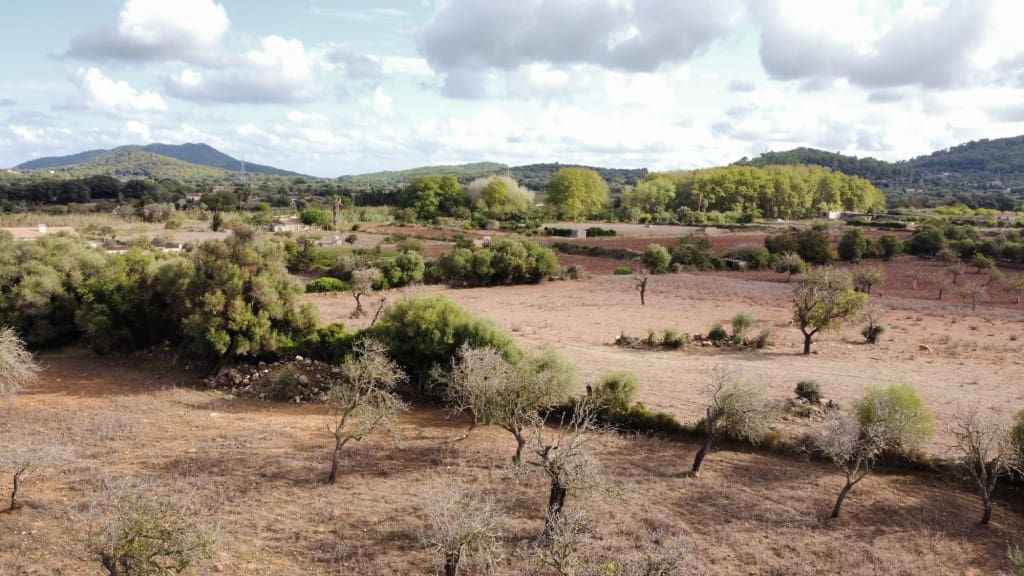 Grunde uden byggetilladelser til salg i Arta - € 380.000 (Ref: 6404293)