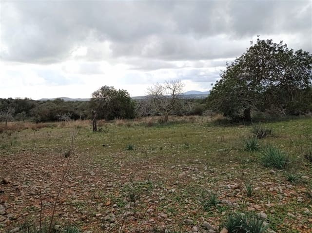 Undeveloped Land for sale in Sant Llorenç des Cardassar - € 35,000 (Ref: 6599759)
