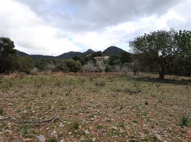 Undeveloped Land for sale in Sant Llorenç des Cardassar - € 35,000 (Ref: 6599759)