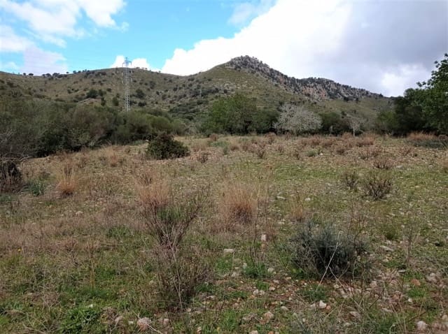 Undeveloped Land for sale in Sant Llorenç des Cardassar - € 35,000 (Ref: 6599759)