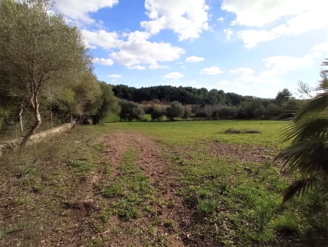 Building Plot for sale in Artà - € 512,000 (Ref: 6714109)