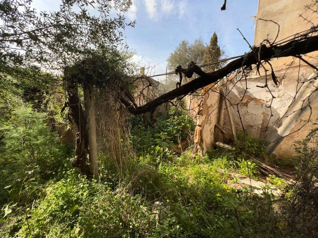 Finca/Landgut zu verkaufen in Sant Llorenc des Cardassar - 180.000 € (Ref: 6722194)