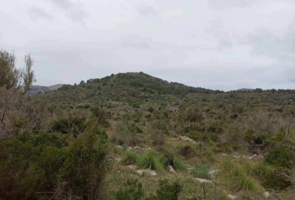 Finca/Herregård til salgs i Arta - € 1 650 000 (Ref: 6904640)