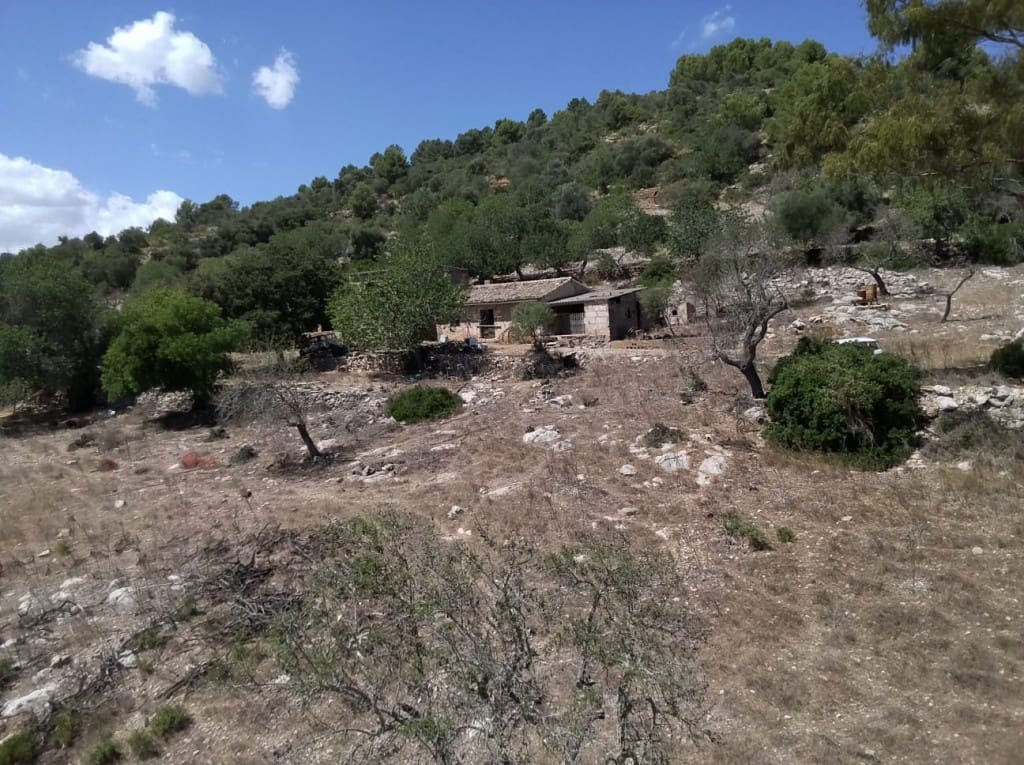 Finca/Herregård til salgs i Arta - € 1 650 000 (Ref: 6904640)