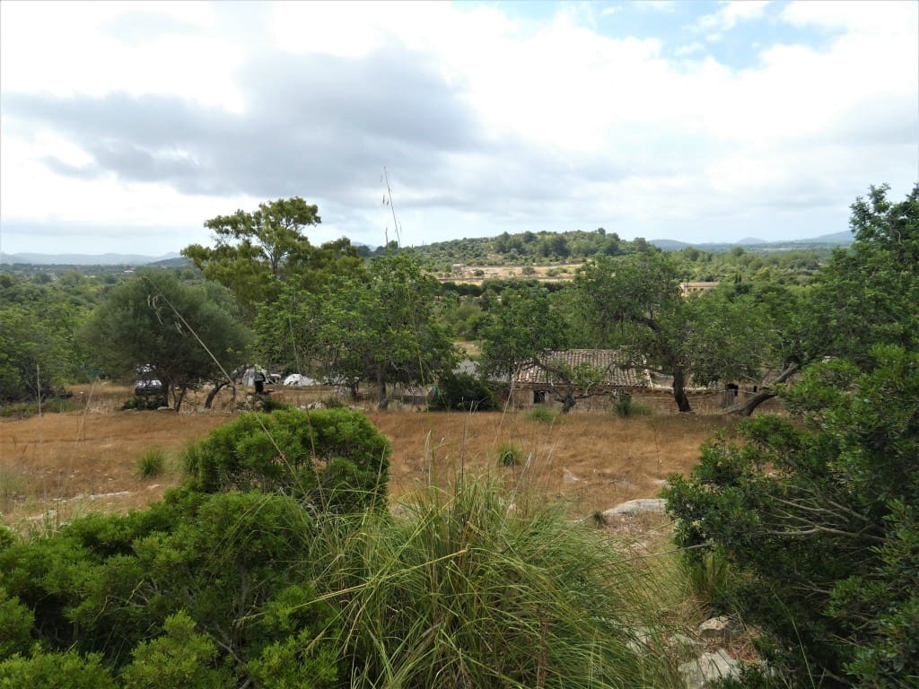 Finca/Herregård til salgs i Arta - € 1 650 000 (Ref: 6904640)