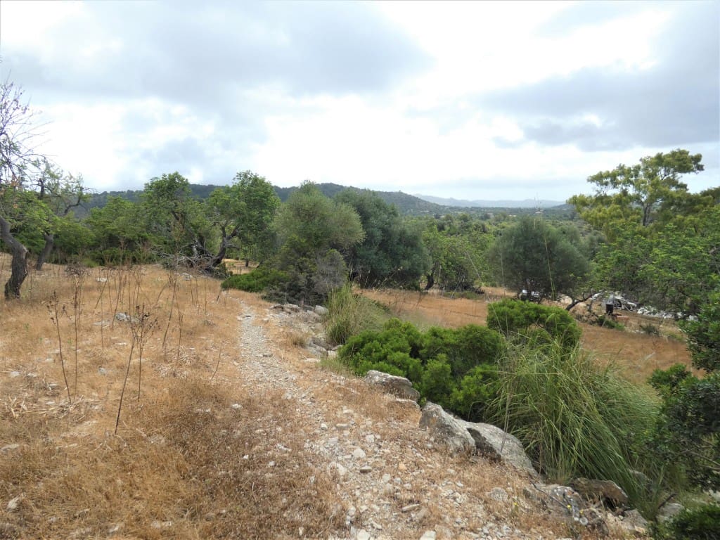 Finca/Herregård til salgs i Arta - € 1 650 000 (Ref: 6904640)