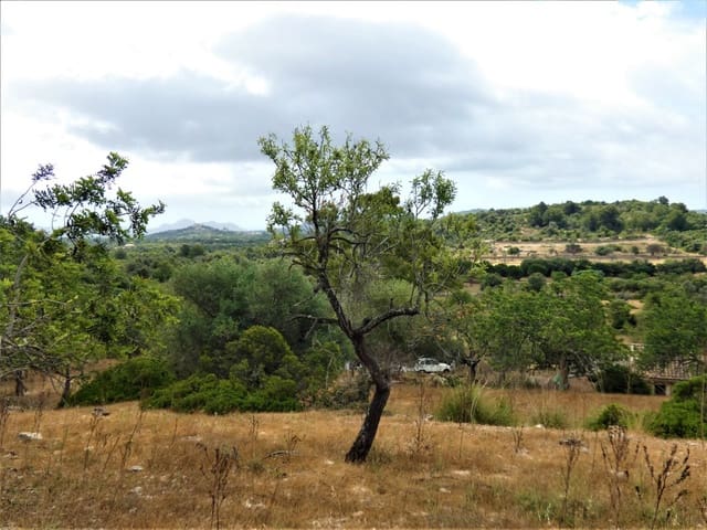 Finca/Herregård til salgs i Artà - € 1 650 000 (Ref: 6904640)