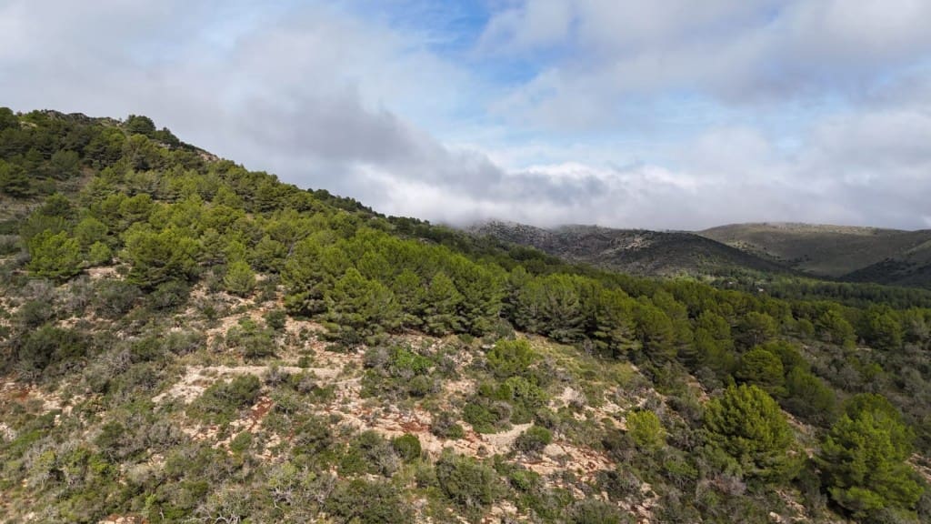 Finca/Herregård til salgs i Arta - € 1 650 000 (Ref: 6904640)