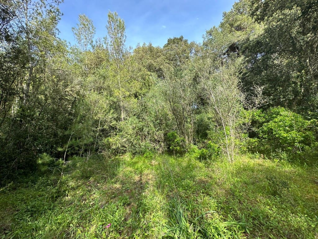 Area Edificabile in vendita in Arta - 245.000 € (Rif: 7092995)