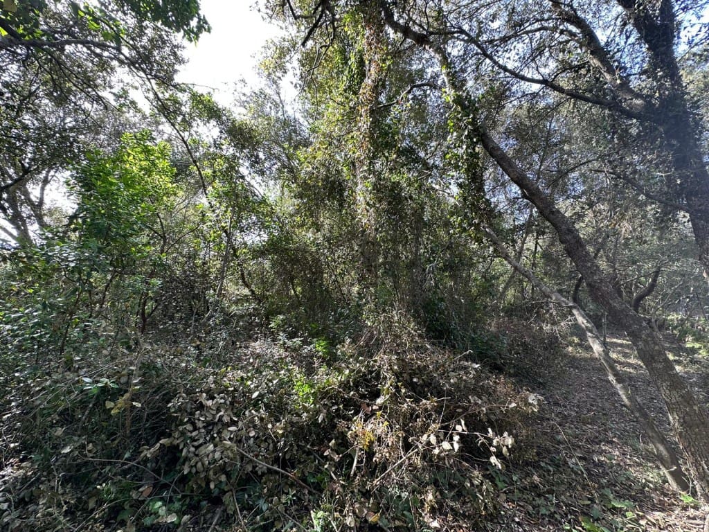 Area Edificabile in vendita in Arta - 245.000 € (Rif: 7092995)