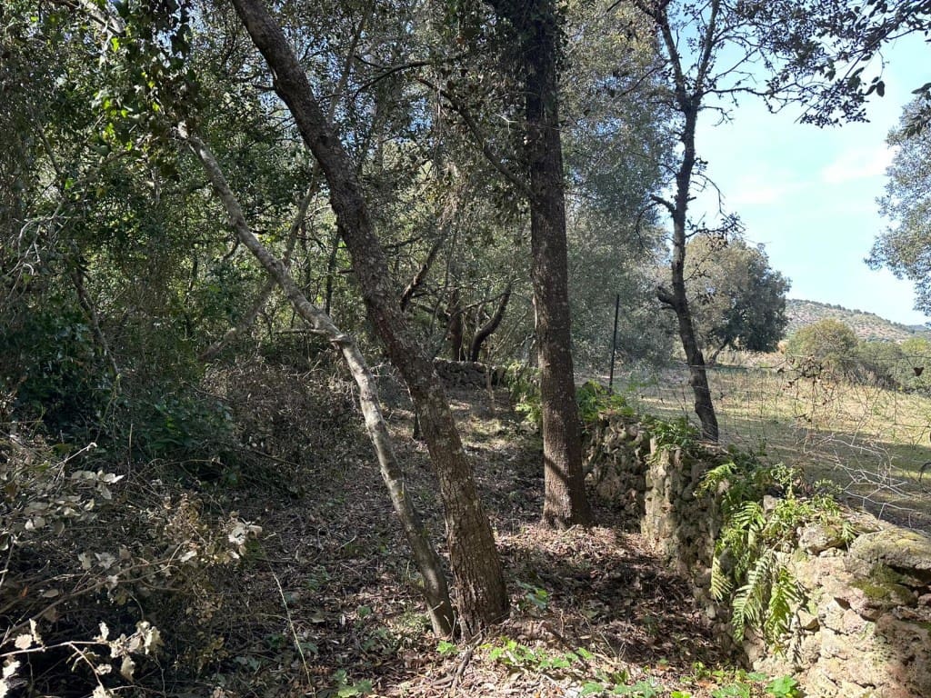 Area Edificabile in vendita in Arta - 245.000 € (Rif: 7092995)